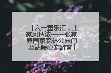 六一童乐汇，土家风情浓——张家界国家森林公园门票站暖心宠游客