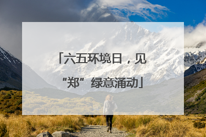 六五环境日，见“郑”绿意涌动