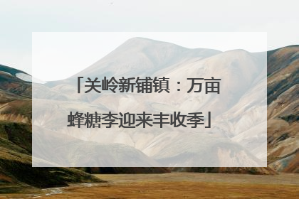 关岭新铺镇：万亩蜂糖李迎来丰收季