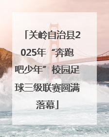 关岭自治县2025年“奔跑吧少年”校园足球三级联赛圆满落幕
