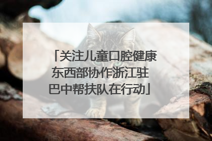 关注儿童口腔健康 东西部协作浙江驻巴中帮扶队在行动