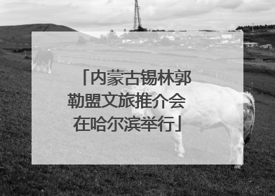 内蒙古锡林郭勒盟文旅推介会在哈尔滨举行
