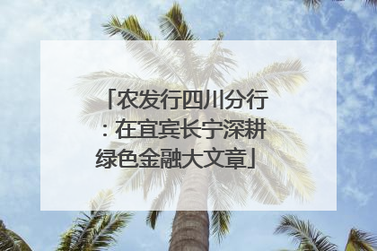 农发行四川分行：在宜宾长宁深耕绿色金融大文章