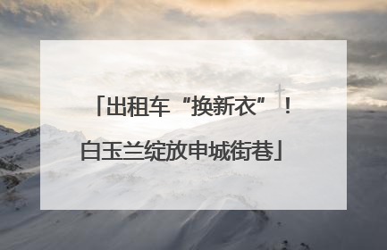 出租车“换新衣”！白玉兰绽放申城街巷