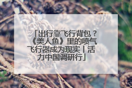 出行靠飞行背包？《美人鱼》里的喷气飞行器成为现实丨活力中国调研行