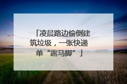 凌晨路边偷倒建筑垃圾，一张快递单“露马脚”