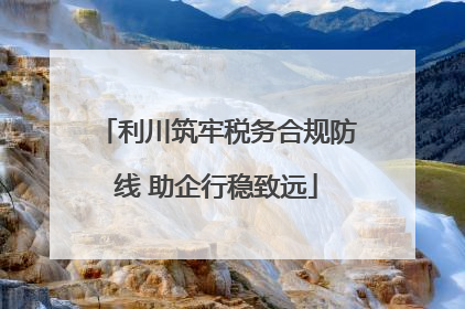 利川筑牢税务合规防线 助企行稳致远