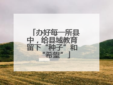 办好每一所县中，给县域教育留下“种子”和“希望”