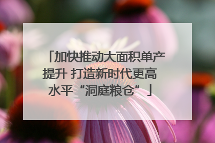 加快推动大面积单产提升 打造新时代更高水平“洞庭粮仓”