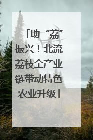 助“荔”振兴！北流荔枝全产业链带动特色农业升级