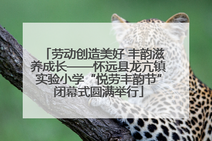 劳动创造美好 丰韵滋养成长——怀远县龙亢镇实验小学“悦劳丰韵节”闭幕式圆满举行