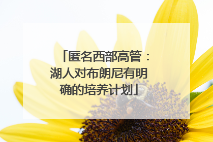 匿名西部高管：湖人对布朗尼有明确的培养计划