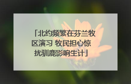 北约频繁在芬兰牧区演习 牧民担心惊扰驯鹿影响生计