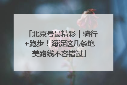 北京号最精彩｜骑行+跑步！海淀这几条绝美路线不容错过