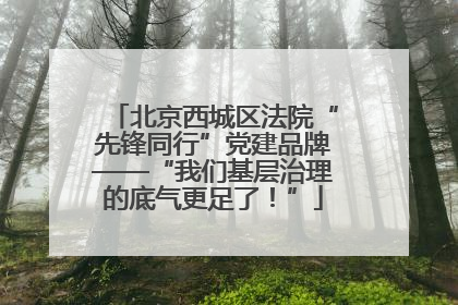 北京西城区法院“先锋同行”党建品牌——“我们基层治理的底气更足了！”
