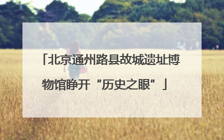北京通州路县故城遗址博物馆睁开“历史之眼”