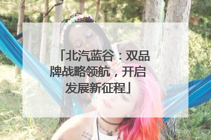北汽蓝谷：双品牌战略领航，开启发展新征程