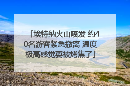 埃特纳火山喷发 约40名游客紧急撤离 温度极高感觉要被烤焦了