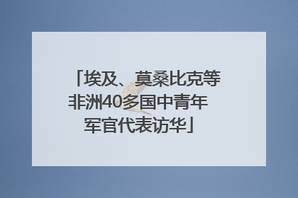 埃及、莫桑比克等非洲40多国中青年军官代表访华