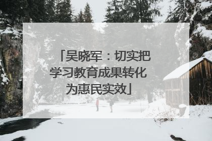 吴晓军：切实把学习教育成果转化为惠民实效