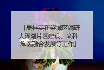吴桂英在望城区调研大泽湖片区建设、文科旅医融合发展等工作