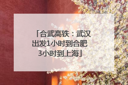 合武高铁：武汉出发1小时到合肥3小时到上海