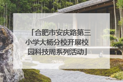合肥市安庆路第三小学大杨分校开展校园科技周系列活动