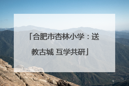 合肥市杏林小学：送教古城 互学共研