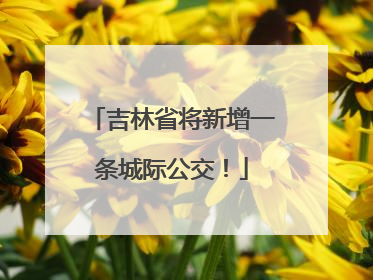 吉林省将新增一条城际公交！