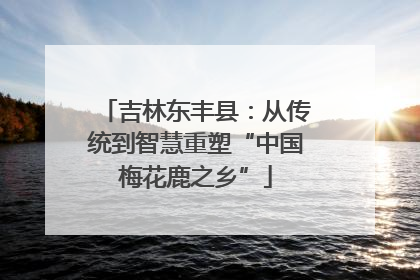 吉林东丰县：从传统到智慧重塑“中国梅花鹿之乡”