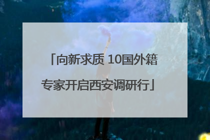 向新求质 10国外籍专家开启西安调研行