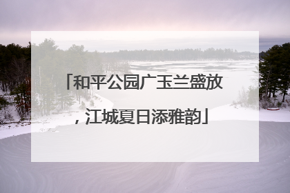 和平公园广玉兰盛放，江城夏日添雅韵