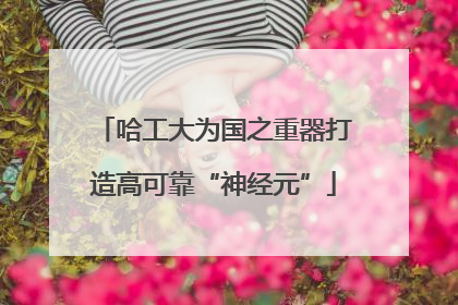 哈工大为国之重器打造高可靠“神经元”