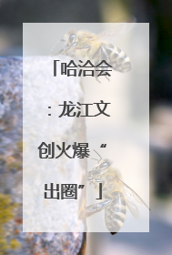 哈洽会：龙江文创火爆“出圈”