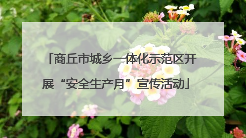 商丘市城乡一体化示范区开展“安全生产月”宣传活动