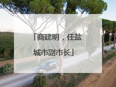 商建明，任盐城市副市长