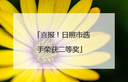 喜报！日照市选手荣获二等奖