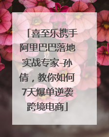 喜至乐携手阿里巴巴落地实战专家-孙倩，教你如何7天爆单逆袭跨境电商