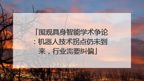 围观具身智能学术争论：机器人技术拐点仍未到来，行业需要纠偏