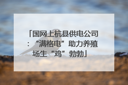 国网上杭县供电公司：“满格电”助力养殖场生“鸡”勃勃