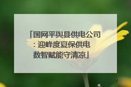 国网平舆县供电公司：迎峰度夏保供电  数智赋能守清凉