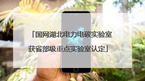国网湖北电力电碳实验室获省部级重点实验室认定