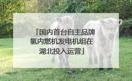 国内首台自主品牌氢内燃机发电机组在湖北投入运营