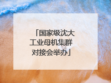 国家级沈大工业母机集群对接会举办