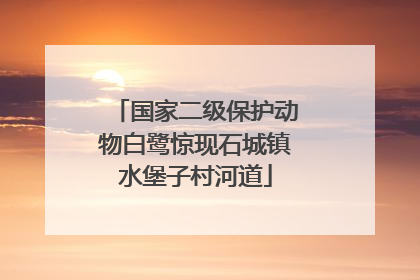 国家二级保护动物白鹭惊现石城镇水堡子村河道