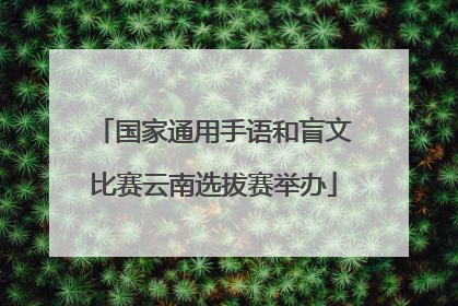 国家通用手语和盲文比赛云南选拔赛举办