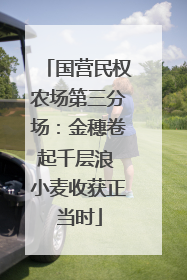 国营民权农场第三分场：金穗卷起千层浪 小麦收获正当时