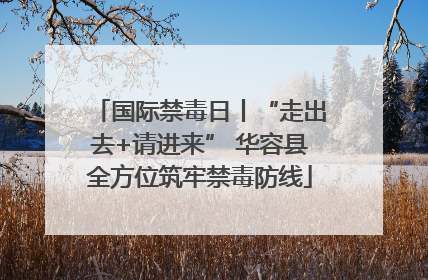 国际禁毒日丨“走出去+请进来” 华容县全方位筑牢禁毒防线