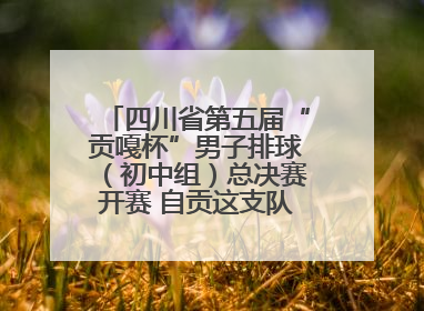 四川省第五届“贡嘎杯”男子排球（初中组）总决赛开赛 自贡这支队伍打进半决赛