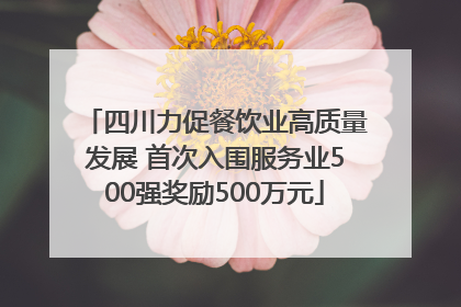四川力促餐饮业高质量发展 首次入围服务业500强奖励500万元